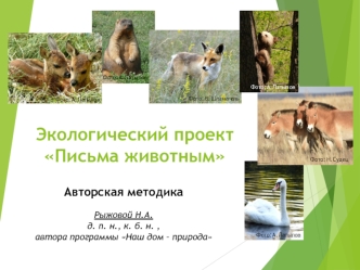 Экологический проект Письма животным