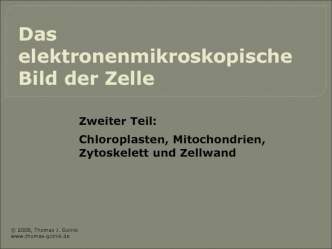 Chloroplasten, Mitochondrien, Zytoskelett und Zellwand