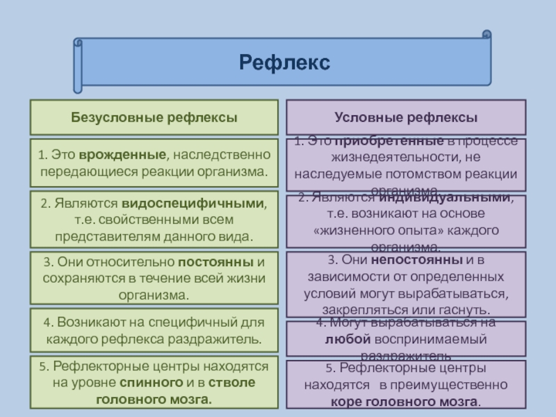 Используя рисунки решите какое из условий опыта проведенного святославом является обязательным для