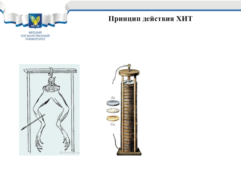 Реферат: Серебряно-цинковые источники тока