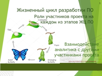 Жизненный цикл разработки ПО. Роли участников проекта на каждом из этапов ЖЦ ПО