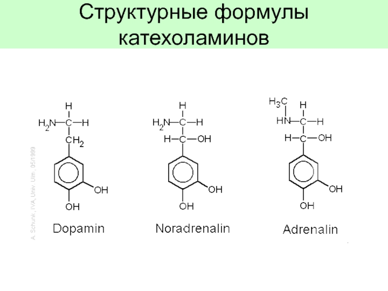 Адреналин и норадреналин