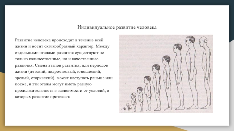 Индивидуальное развитие организма презентация 10 класс биология