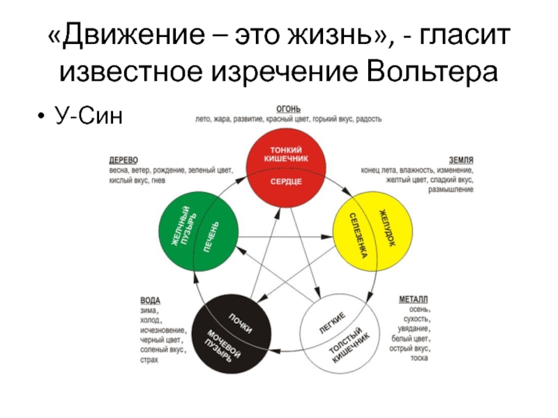 Схема здоровья у син