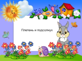 Плетень и подсолнух