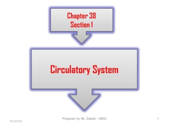 Circulatory (Pic). (Chapter 38. Section 1)