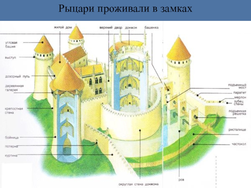 Рыцарский замок схема с подписями