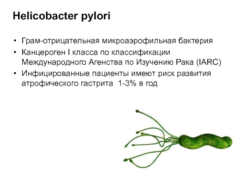 Helicobacter pylori estreñimiento