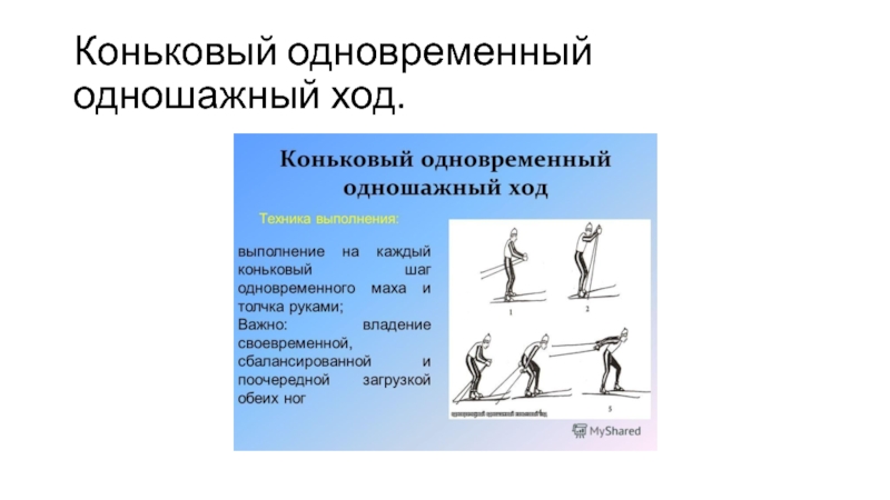 Виды ходов. Одновременный одношажный коньковый ход. Одновременный одношажный коньковый ход техника. Одновременно одношажный коньковый ход. Одновременный одношажный коньковый ход на лыжах.