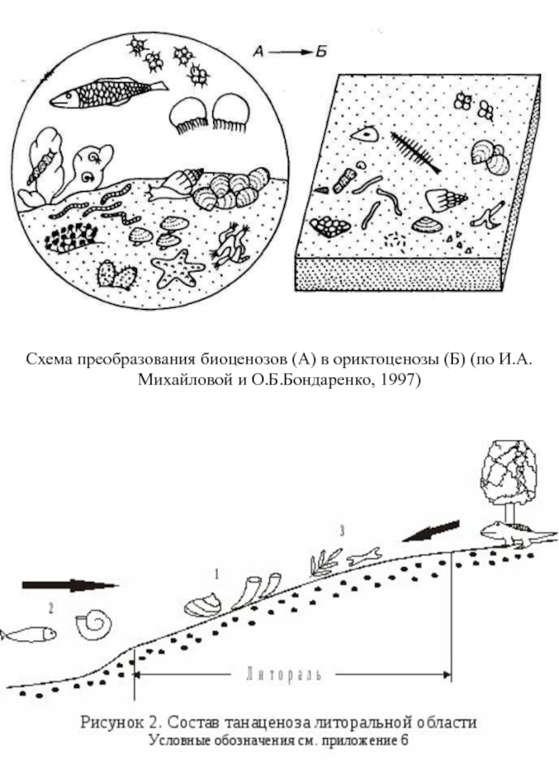 Схема водоема барыбина