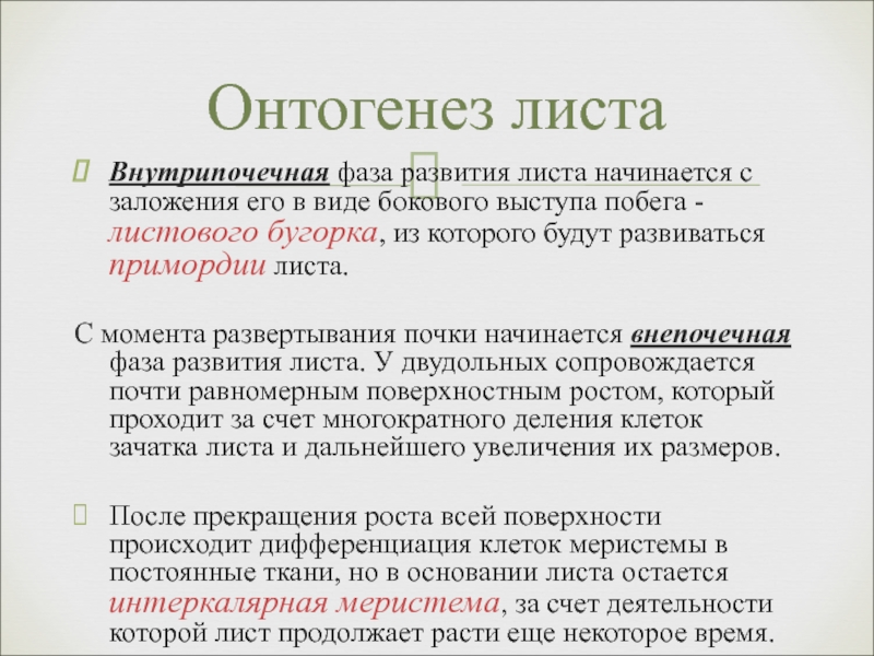 Развитие листа. Внутрипочечная фаза развития листа. Онтогенез листа. Стадия развития листа. Формирование листа в онтогенезе.