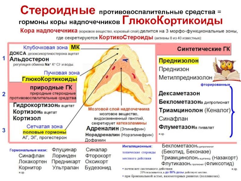 Стероидные противовоспалительные препараты презентация