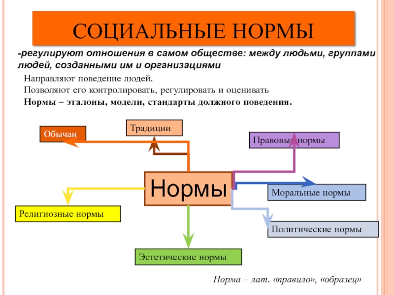 Социальные нормы регулируют отношения