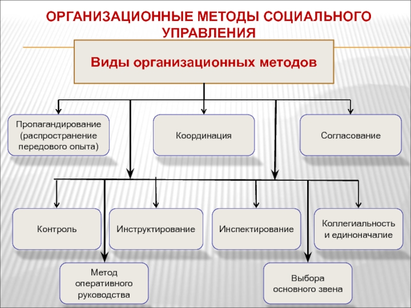 Управление по координации корпоративных имущественных проектов