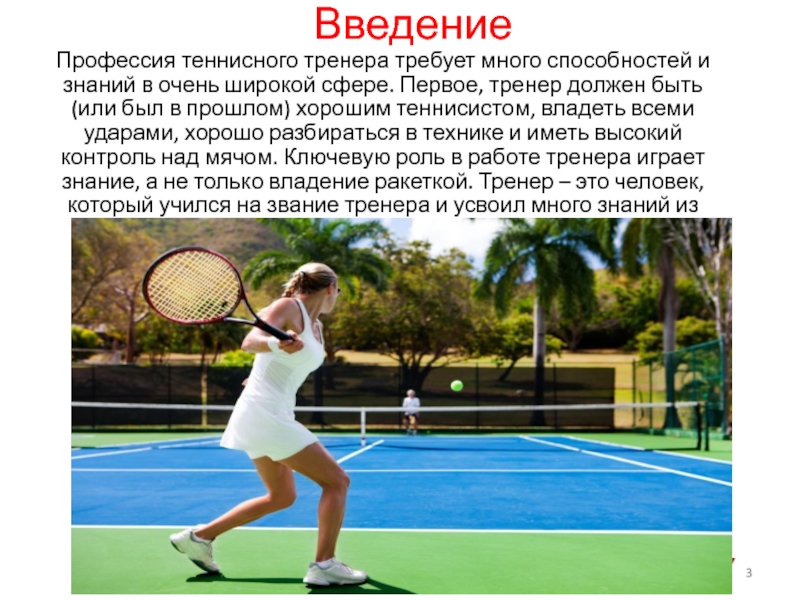 Реферат: Большой теннис 2