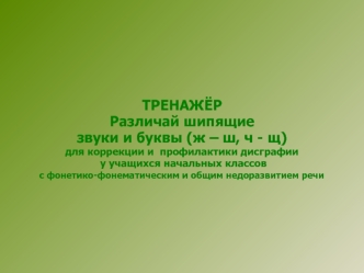 Тренажёр для коррекции и профилактики дисграфии учащихся начальных классов с фонетико-фонематическим и общим недоразвитием речи