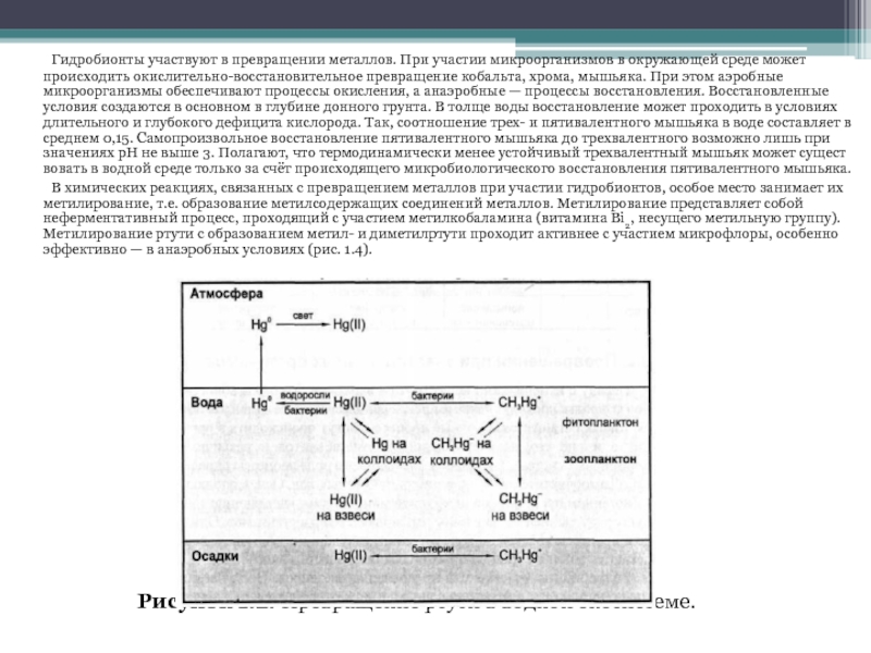 Восстановление условия. Трансформация веществ микроорганизмами. Анаэробный окислительно восстановительный процесс превращения. Трансформация металлов микробами. Процессы с участием бактерий.