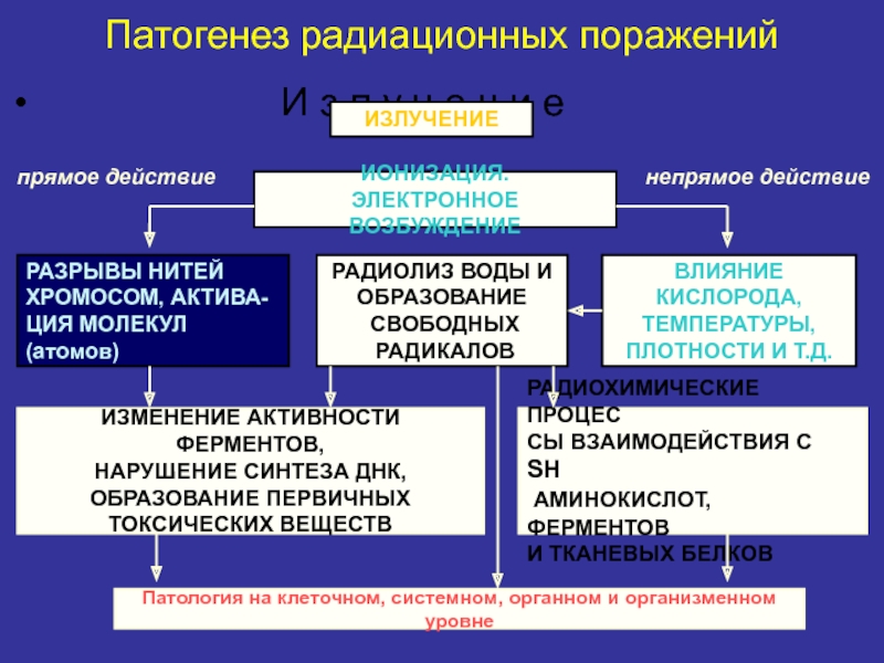 Радиационные поражения презентация