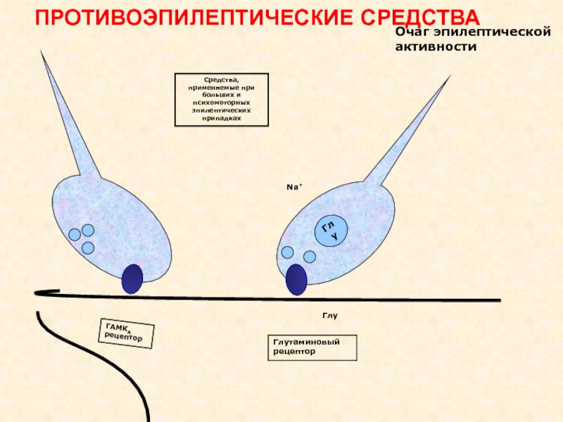 Противоэпилептические средства презентация