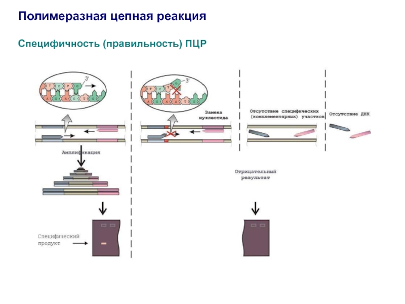 Пцр ошибка