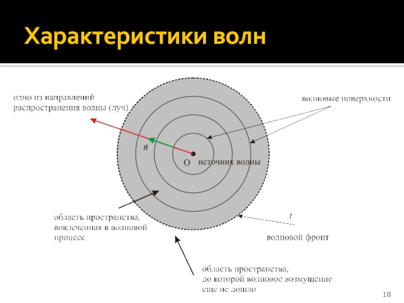 Характер волны. Луч и фронт волны. Направление распространения фронта волны. Фронт волны определение. Характеристики волнового фронта.