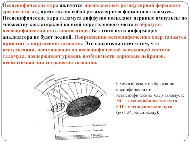 Измерительная схема термохимического анализатора представляет собой