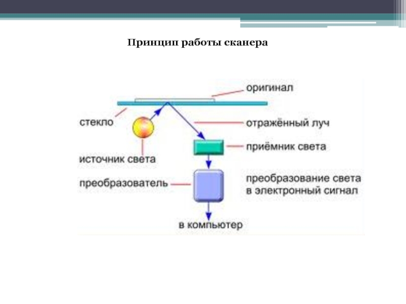 Принцип работы сканера схема