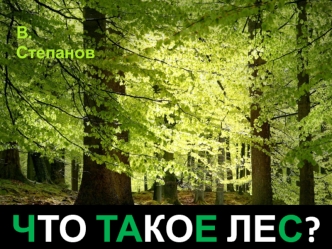 Что такое лес (стихотворение)