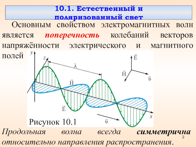 Что понимают под проекционной картиной поляризованного света