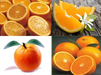 Апельси́н (лат. Cītrus sinēnsis) — плодовое дерево
