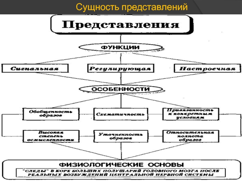 Представление о психическом. Представление психический процесс. Сущность представлений. Представление как психический процесс. Виды представлений. Способы представления сущности.