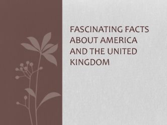 Fascinating facts about America and the United Kingdom