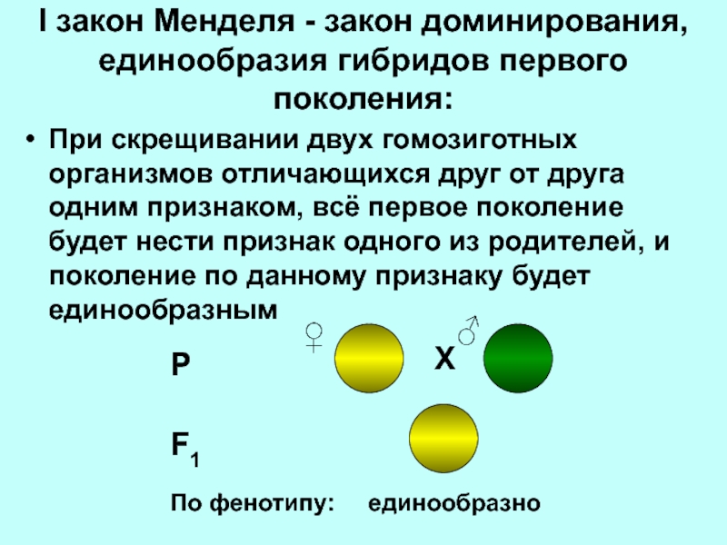 Презентация по теме моногибридное скрещивание 10 класс