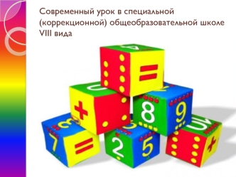 Современный урок в специальной (коррекционной) общеобразовательной школе VIII вида