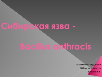 Сибирская язва Bacillus anthracis