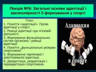 Загальні основи адаптації і закономірності її формування у спорті