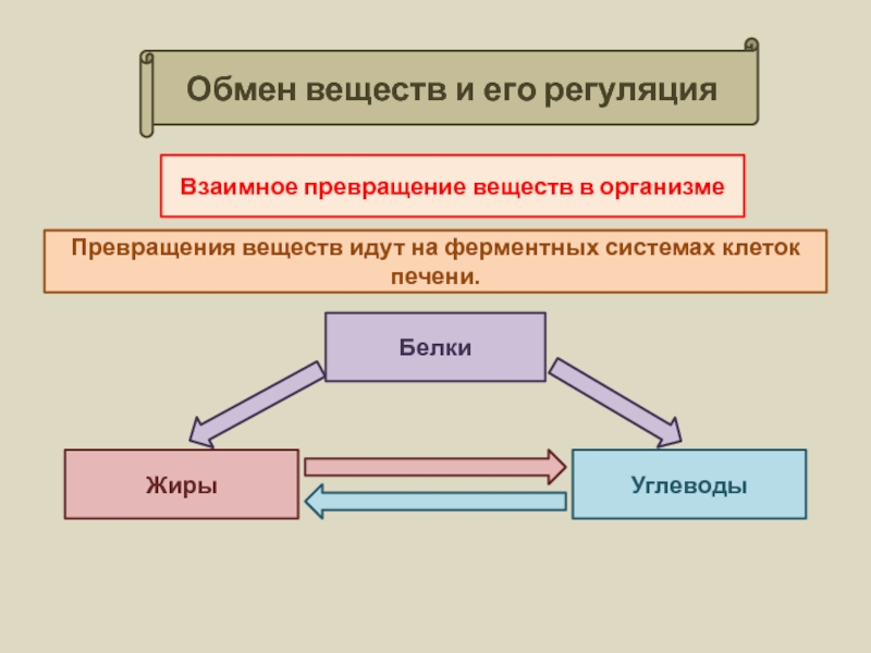 Обмен веществ и превращение