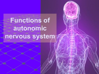 Functions of autonomic nervous system