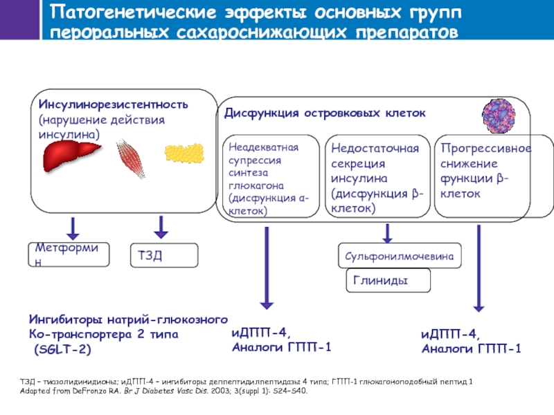 Схема при инсулинорезистентности корнилова