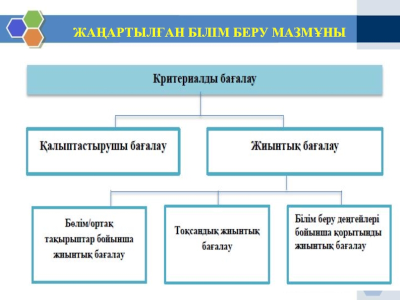 Білім беру стандарты презентация