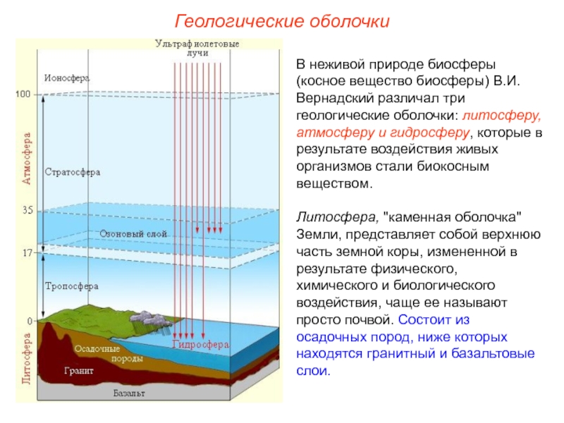 Реферат: Почва как важнейшая составляющая часть биосферы