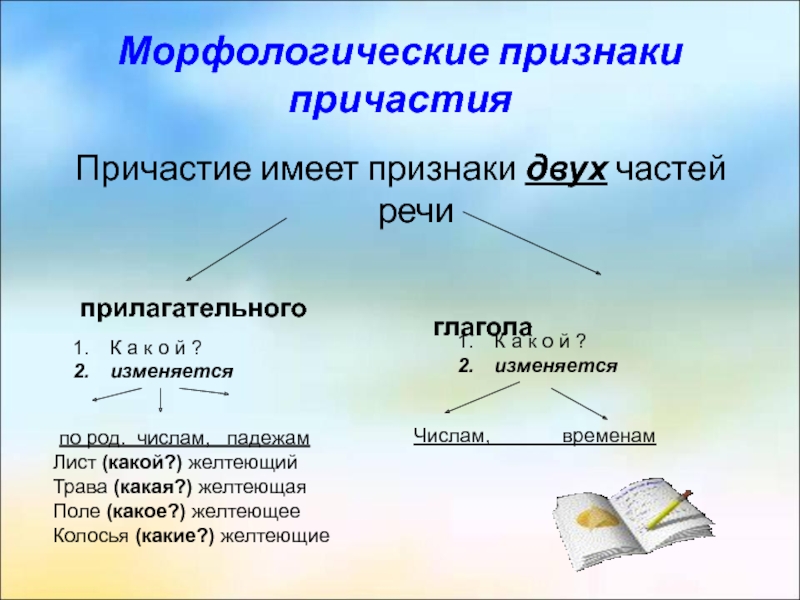 Признаки глагола у причастия. Морфологические признаки причастия. Причастие как часть речи. Причастие как часть речи 7 класс. Признаки частей речи причастия.