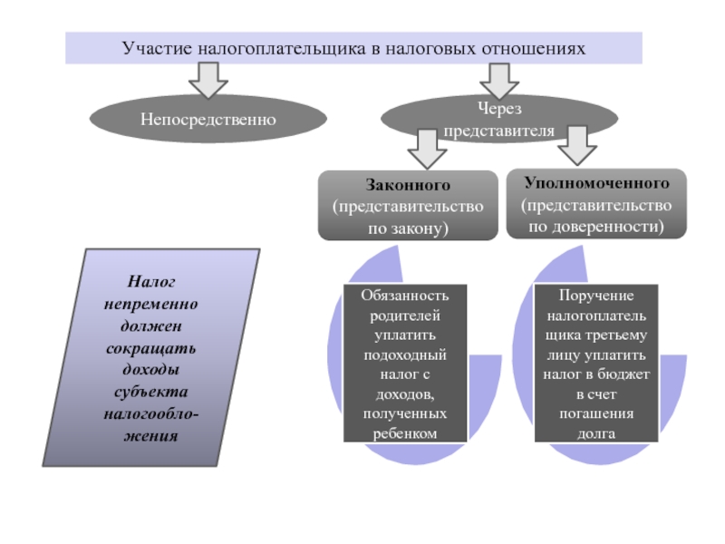 Через представителя. Представительство в налоговых отношениях. Представители налогоплательщиков в налоговых правоотношениях.. Виды налогового представительства. Представительство в сфере налоговых отношений..