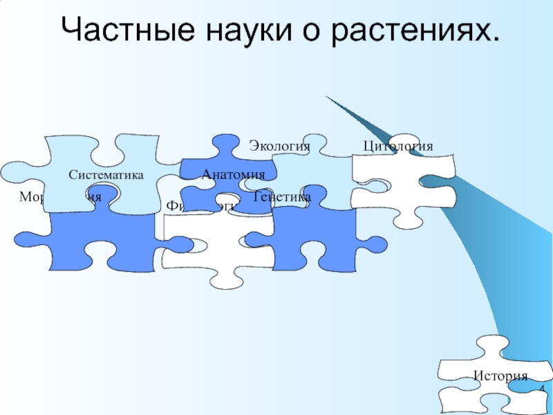 Частные науки