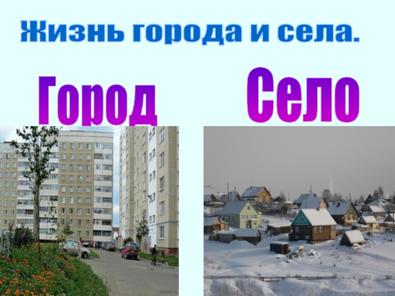 Жизнь города и села проект