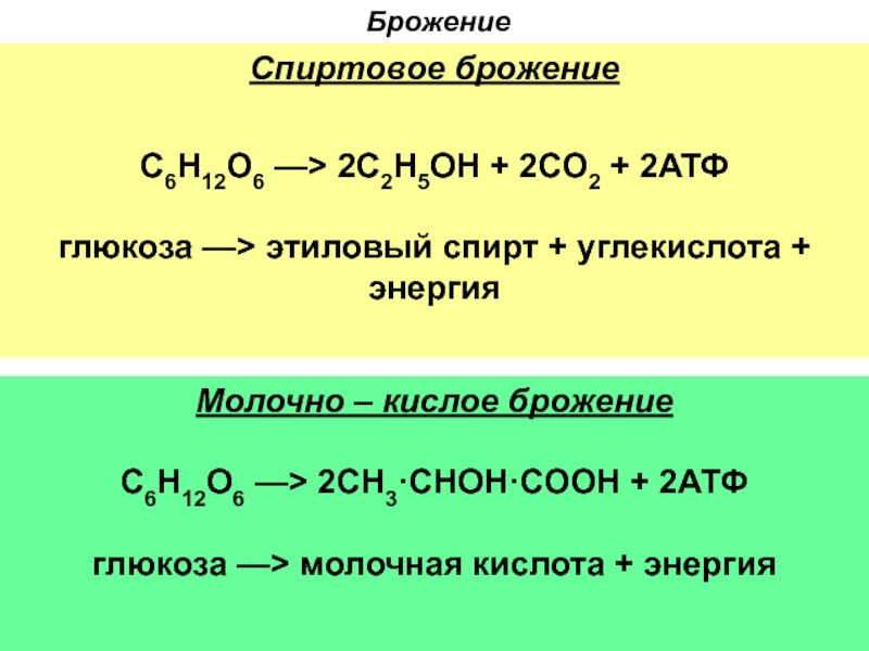 Брожения Глюкозы c6h12o6 o2. Схема молочнокислого и спиртового брожения. Химизм спиртового брожения. Молочнокислое брожение глюкозы уравнение