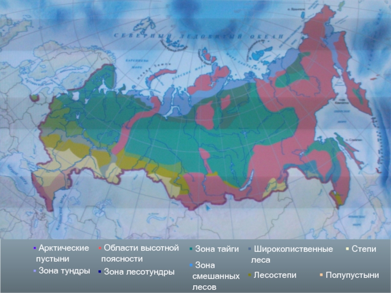 Области высотной поясности карта