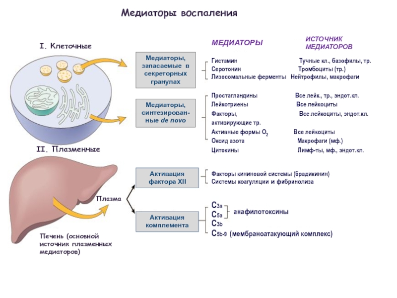 Воспаление ответ. Плазменные медиаторы воспаления таблица. Клеточные медиаторы воспаления схема. Основные эффекты медиаторов воспаления таблица. Клеточные медиаторы воспаления патофизиология.