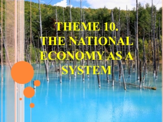 The national economy as a system