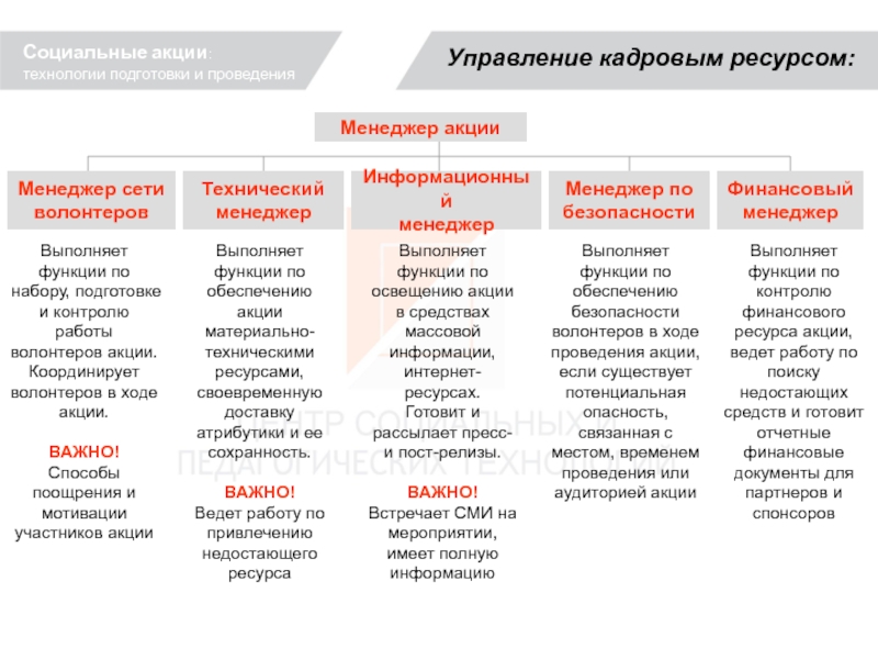 Социальные форматы. Общественные акции примеры.